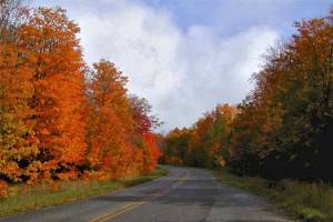 Curley Lewis Memorial Highway