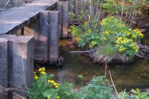 Bridge at Eckerman Pond