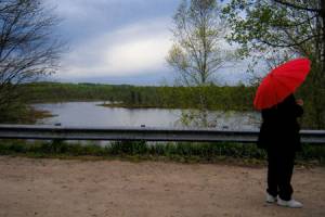 Hamilton Lake Nature Area