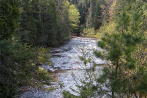 The beauty of Muskallonge Lake State Park