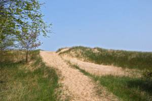 Muskallonge Lake State Park - Walk to Beach