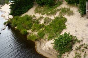 Banks of the Two-Hearted River
