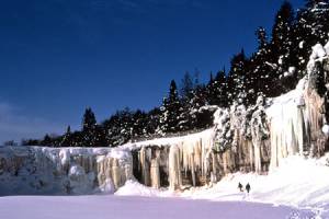 Enjoy Tahquamenon Falls State Park during all seasons!