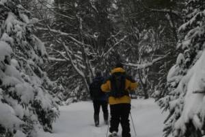 Snowshoeing a Snow Covered Trail Snowshoeing a Snow Covered Trail