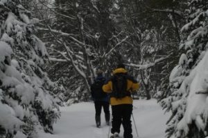 Snowshoeing a Snow Covered Trail Snowshoeing a Snow Covered Trail